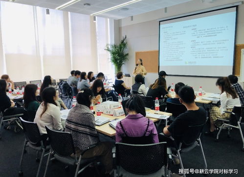 對標阿里巴巴 打造銷售鐵軍的企業管理咨詢策略